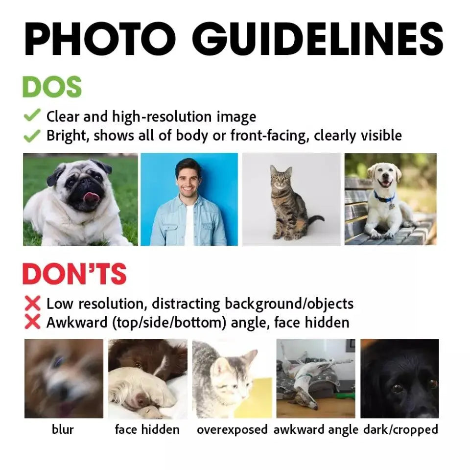 Colorful Upload Pet Image Blanket - Gift for Dog Lovers