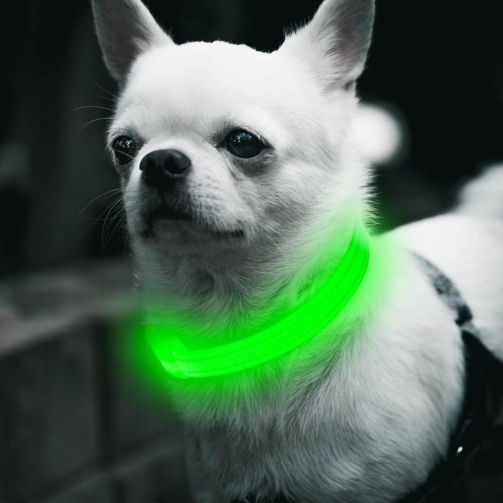 Light up Dog Collars - Glowing LED Dog Collar Rechargeable Puppy Collar for Small Dogs & Cats, Safety Dog Lights for Night Walking (Green)