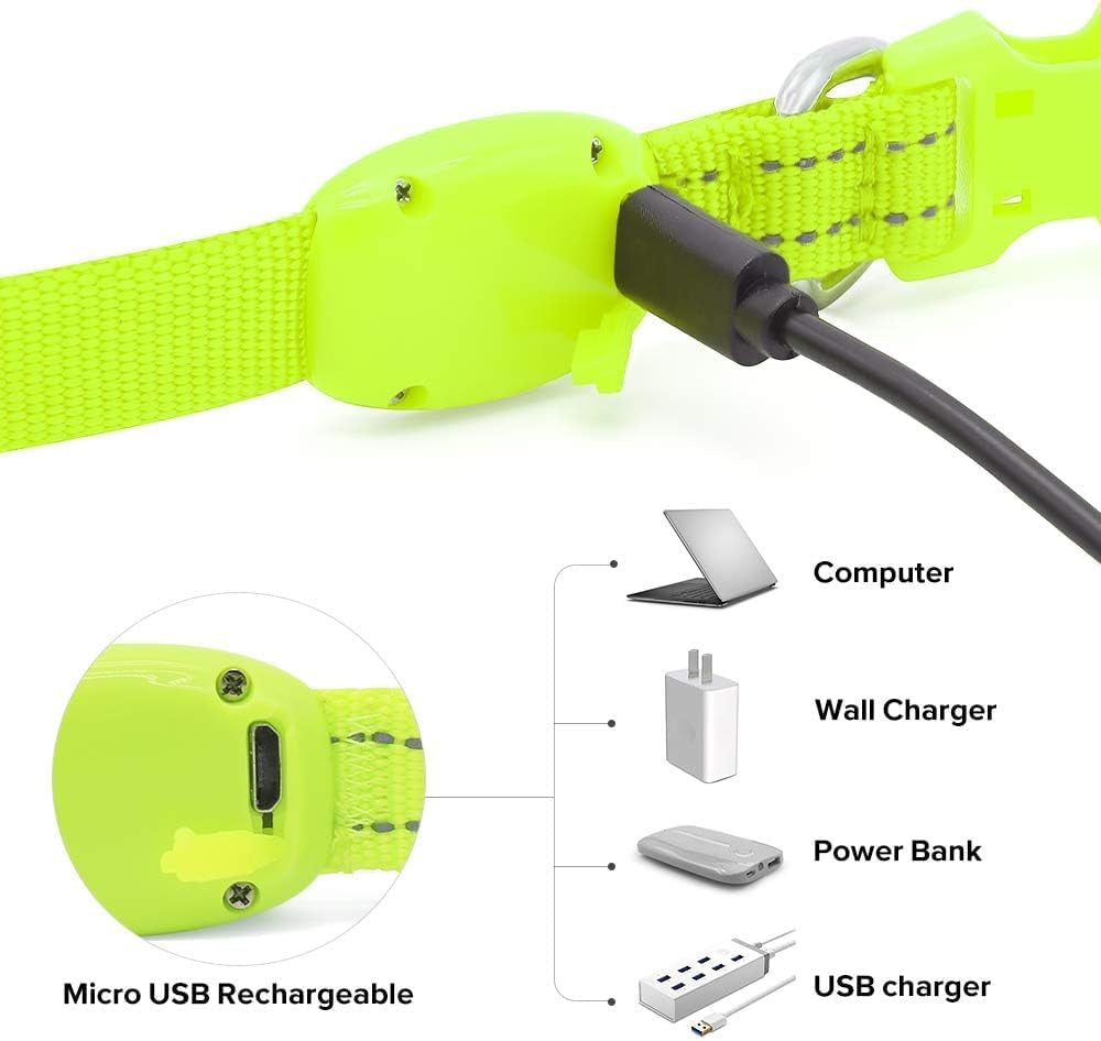Light up Dog Collars - Glowing LED Dog Collar Rechargeable Puppy Collar for Small Dogs & Cats, Safety Dog Lights for Night Walking (Green)