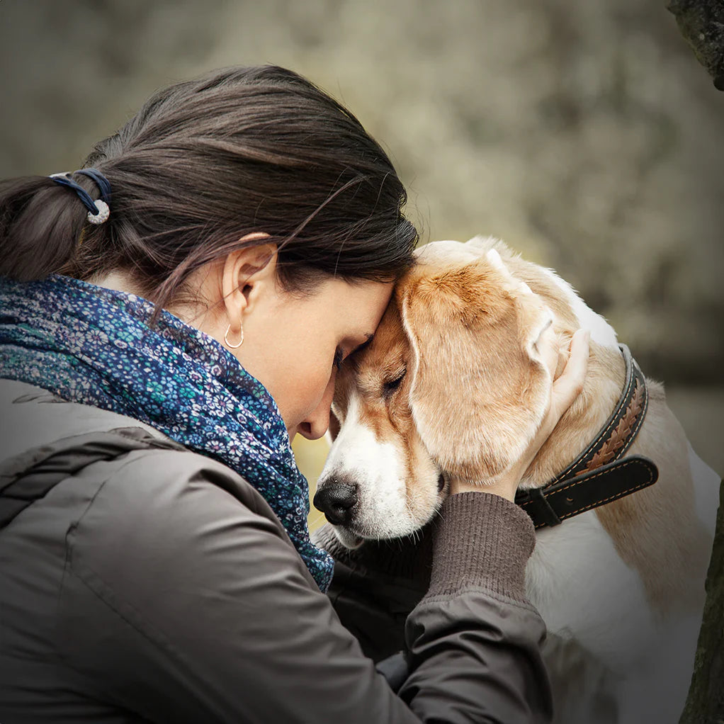 Gift Ideas for Pet Loss