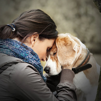 Gift Ideas for Pet Loss