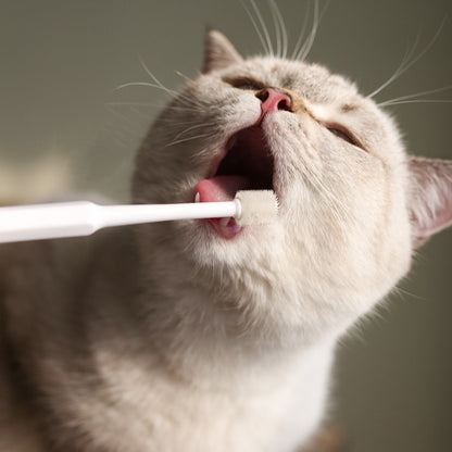 Pet Dog and Cat Toothbrush 360 Degrees Oral Cleaning Teeth Improve Bad Breath Prevention Dental Calculus Toothpaste