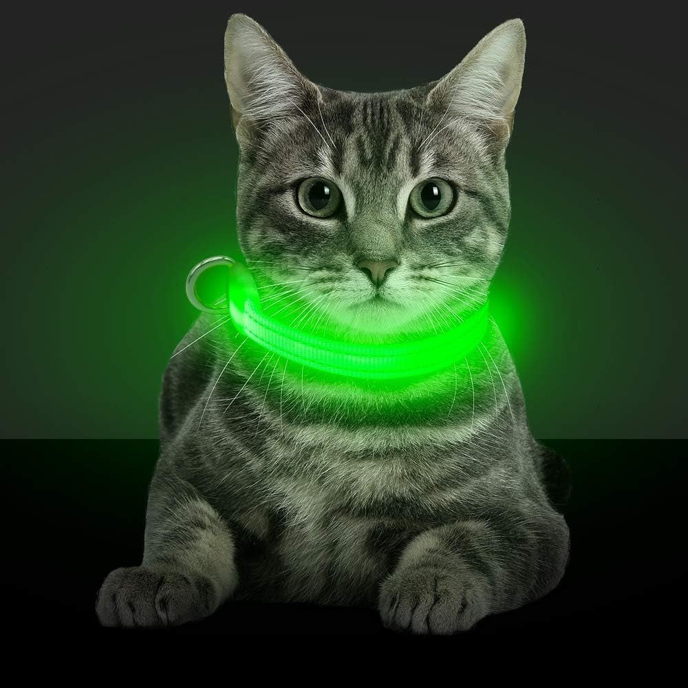 Light up Dog Collars - Glowing LED Dog Collar Rechargeable Puppy Collar for Small Dogs & Cats, Safety Dog Lights for Night Walking (Green)
