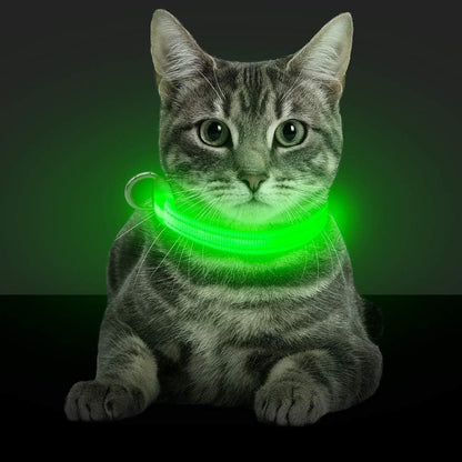 Light up Dog Collars - Glowing LED Dog Collar Rechargeable Puppy Collar for Small Dogs & Cats, Safety Dog Lights for Night Walking (Green)