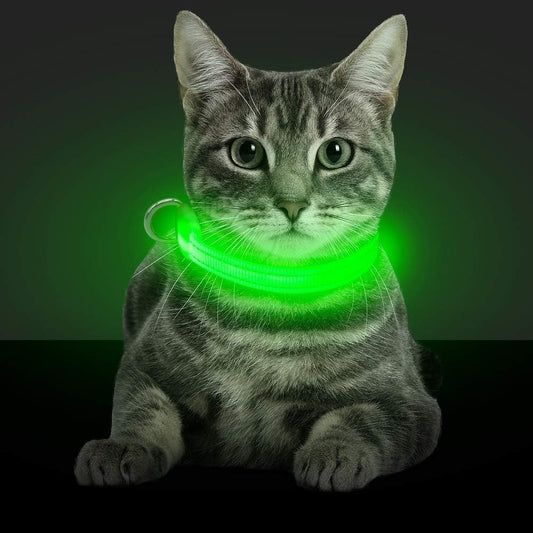 Light up Dog Collars - Glowing LED Dog Collar Rechargeable Puppy Collar for Small Dogs & Cats, Safety Dog Lights for Night Walking (Green)