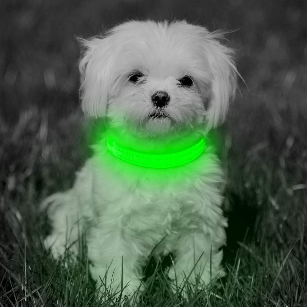 Light up Dog Collars - Glowing LED Dog Collar Rechargeable Puppy Collar for Small Dogs & Cats, Safety Dog Lights for Night Walking (Green)